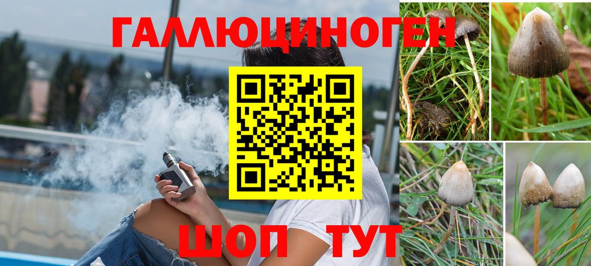 Псилоцибиновые грибы ЛСД Кстово